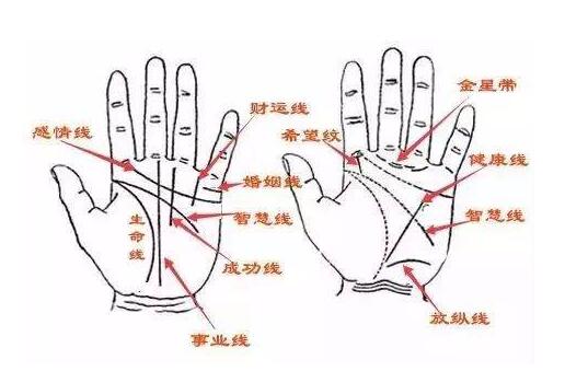 《传统手相结合西方占星理论》零基础入门到精通，真人案例